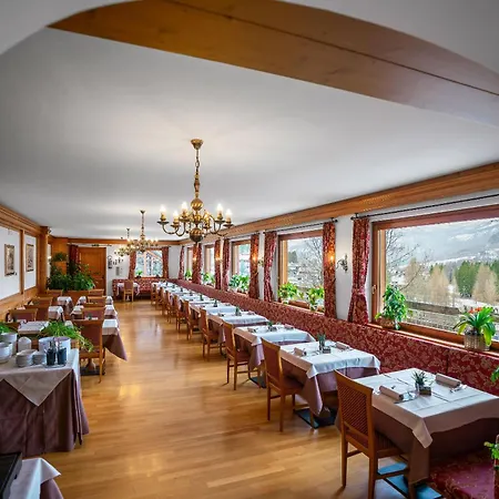 Hotel Des Alpes 3*