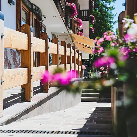 호텔 Des Alpes 3*