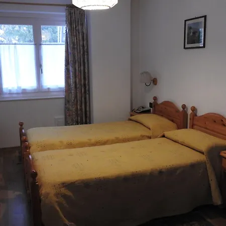 호텔 Des Alpes 3*