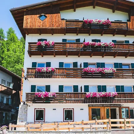 호텔 Des Alpes 3*
