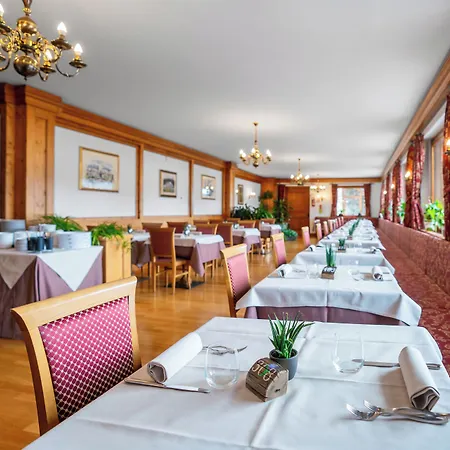 Des Alpes Hotel 3*