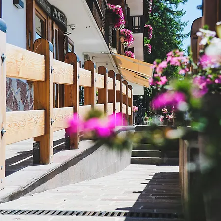 Des Alpes Hotel
